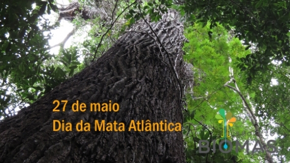 Dia_MataAtlantica_peca