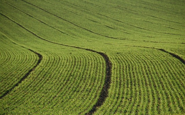 agricultura