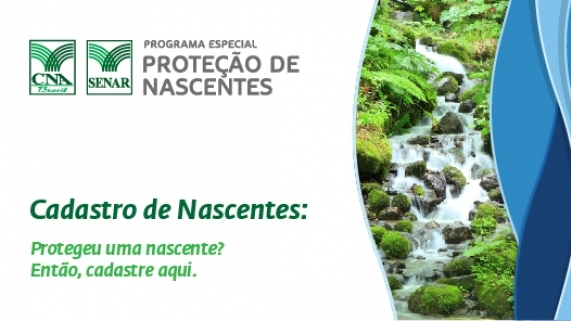 NASCENTES 7