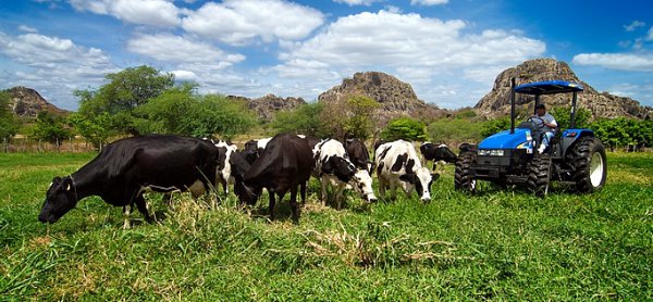 Agricultura-Familiar