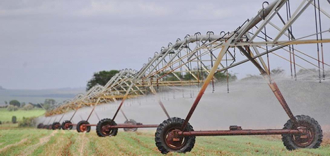 PRODUTIVIDADE NO CAMPO | AgroNovas