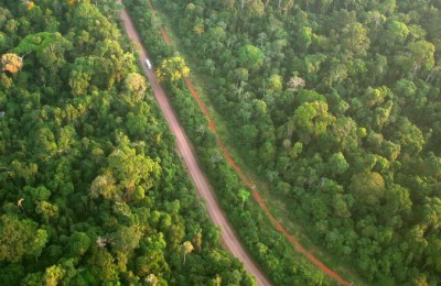 Floresta Sustentável