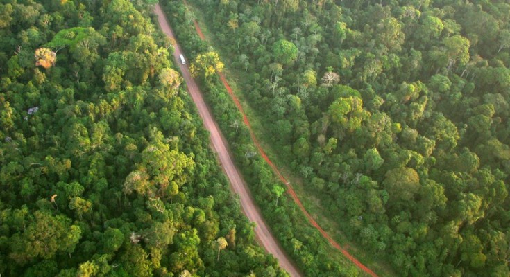 Floresta Sustentável