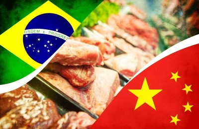 amp-exportacoa-de-carne-bovina-para-china