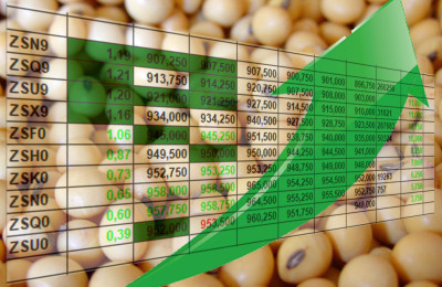 cotação-preço-soja