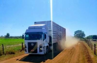 Transporte de Gado